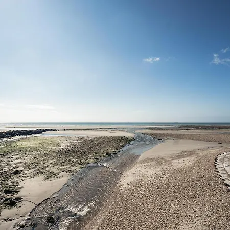 1 Bedroom Cozy In Appartement